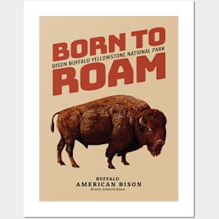 Vintage Buffalo American Bison Posters and Art